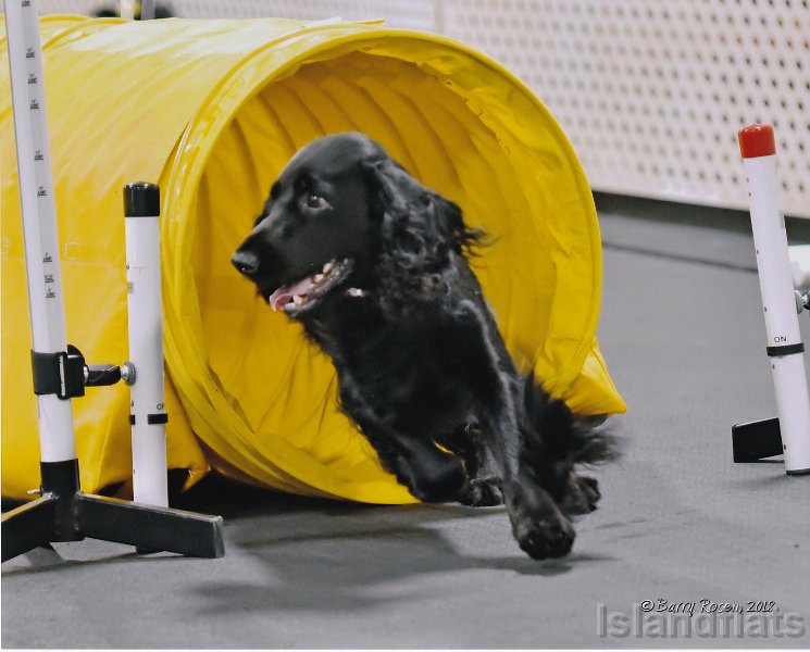 Agility Aug 4 2018